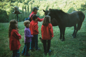 Natura 2